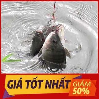 Hộp 2 Bộ Lưỡi Lăng Xê Lò Xo (Lancer) Câu Cá Mè, Cá Chép, Cá Rô Phi, Cá Chép
