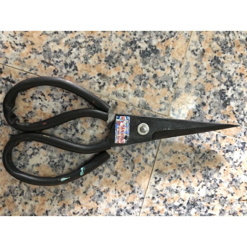 Kéo làm cá từ nhíp xe ôtô