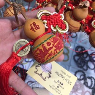 Hồ lô khô thiên nhiên 6-10 cm