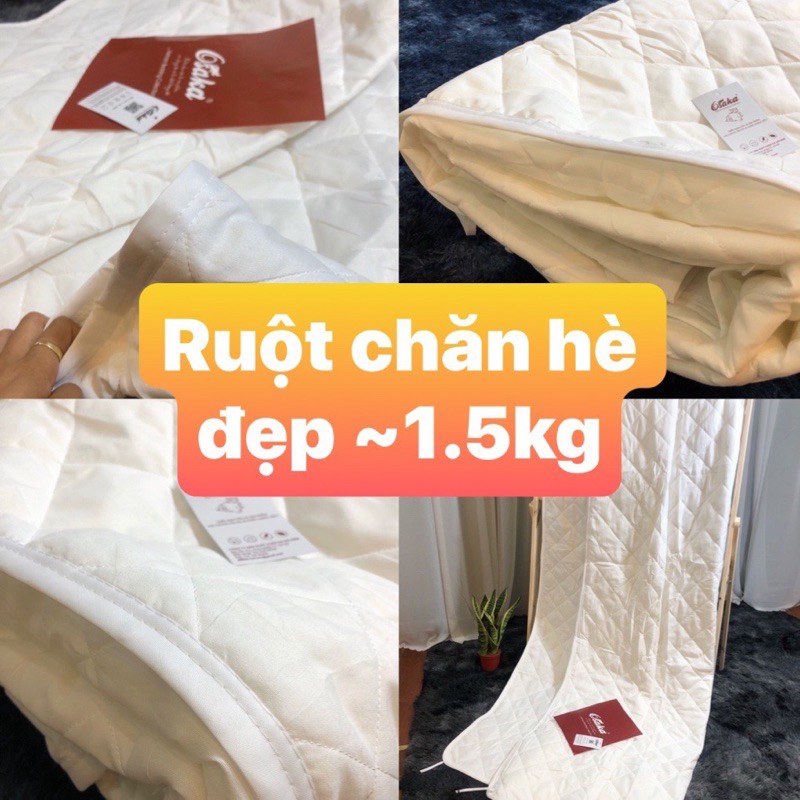 Rẻ vô địch. Ruột chăn Hè - Đông các loại