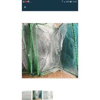 Lồng bát quái 29 cửa