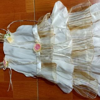 Áo chị lê dạ thảo