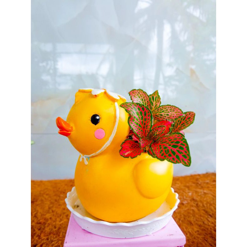 Chậu Thú Composite Đã Mix Cây