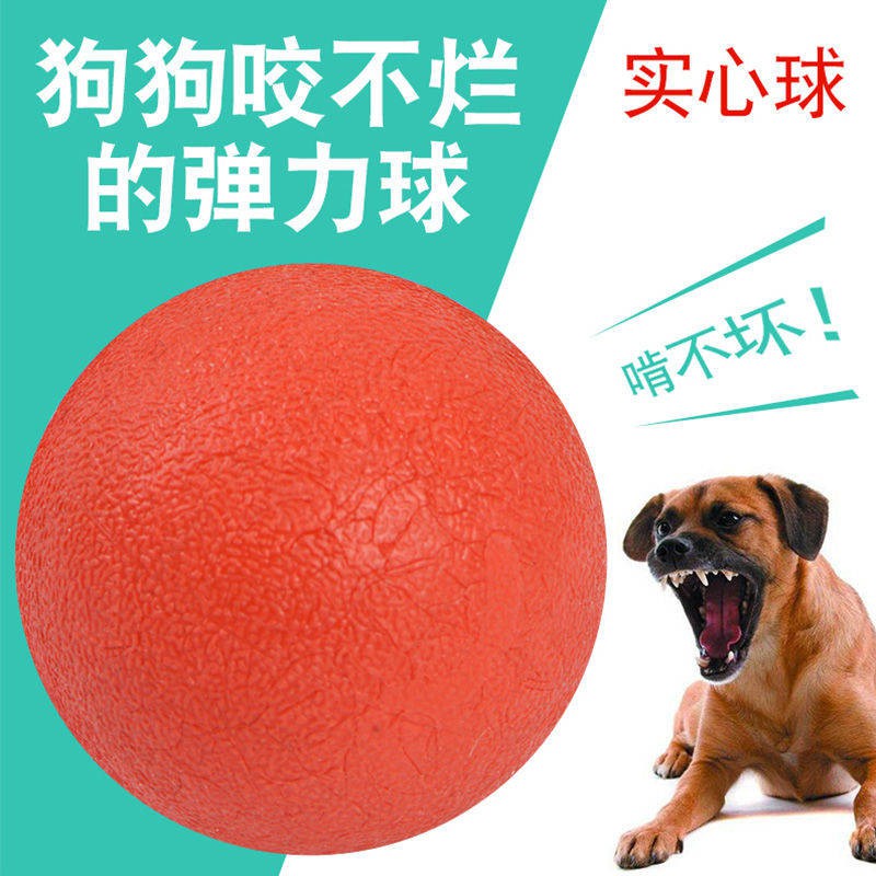 Đồ chơi chó xấu Bụng xấu bề mặt rắn Pet Dog Đào tạo mài Teddy Jin Mao Mao Chó cung cấp