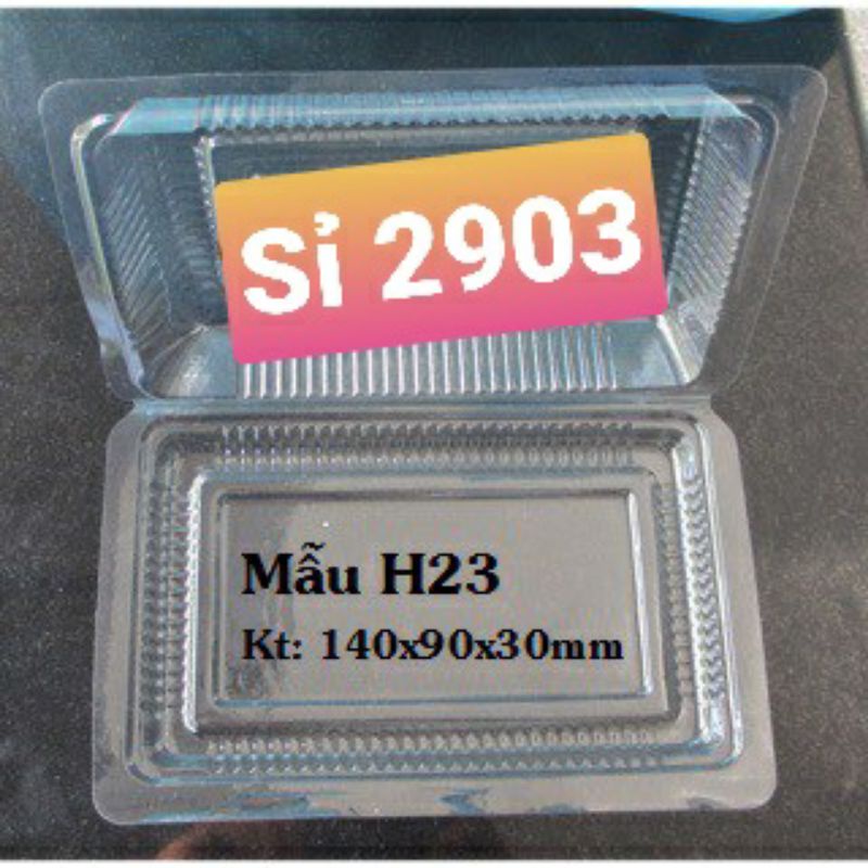 100 hộp nhựa định hình H23/H30