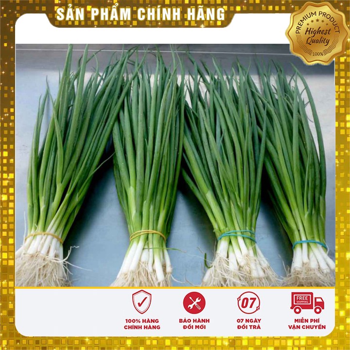 Hạt giống hành hương xanh