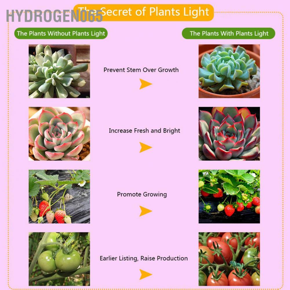 Hydrogen065 Full Spectrum E27 Led Grow Light Growing Lamp Bulb for DIY Hydroponics Pl