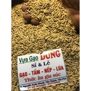 Lúa Tròn Cho Gà 1kg