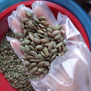 Hạt bí sống cực tốt cho sức khỏe!