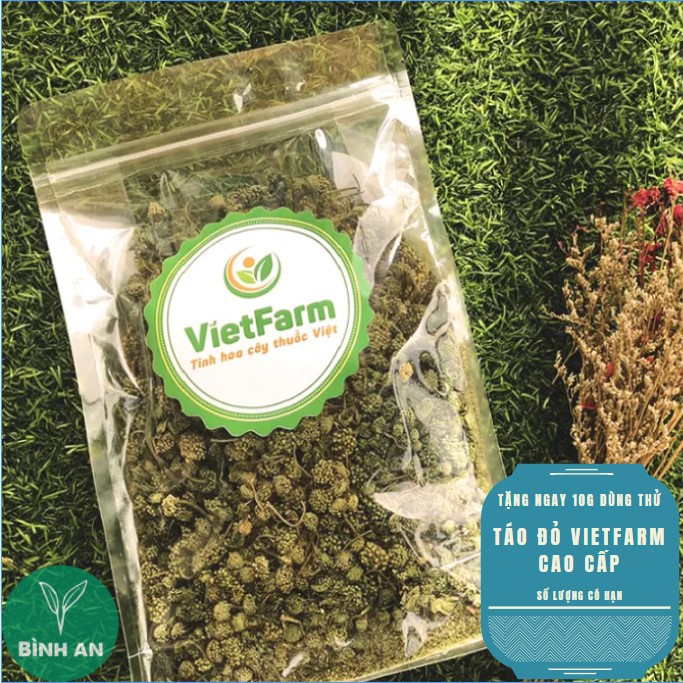 Nụ tam thất khô Vietfarm, đóng gói zip dễ bảo quản