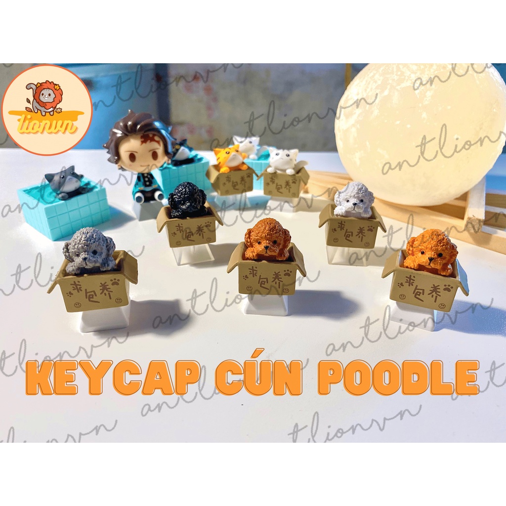 Keycap lẻ hình Chó Poodle Trong Hộp siêu dễ thương Keycap Lionvn