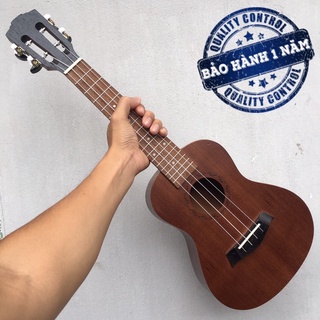 Đàn Ukulele Gỗ Gụ Lâu Năm | Size Concert 23'.