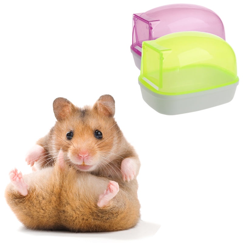 Nhà Tắm Bằng Nhựa Dễ Thương Cho Chuột Hamster