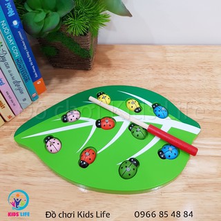 Đồ Chơi Gỗ - Bắt Cánh Cam Trên Lá - Đồ Chơi Nam Châm