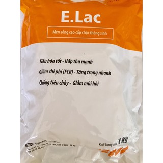 E.Lac - Men sống chịu kháng sinh