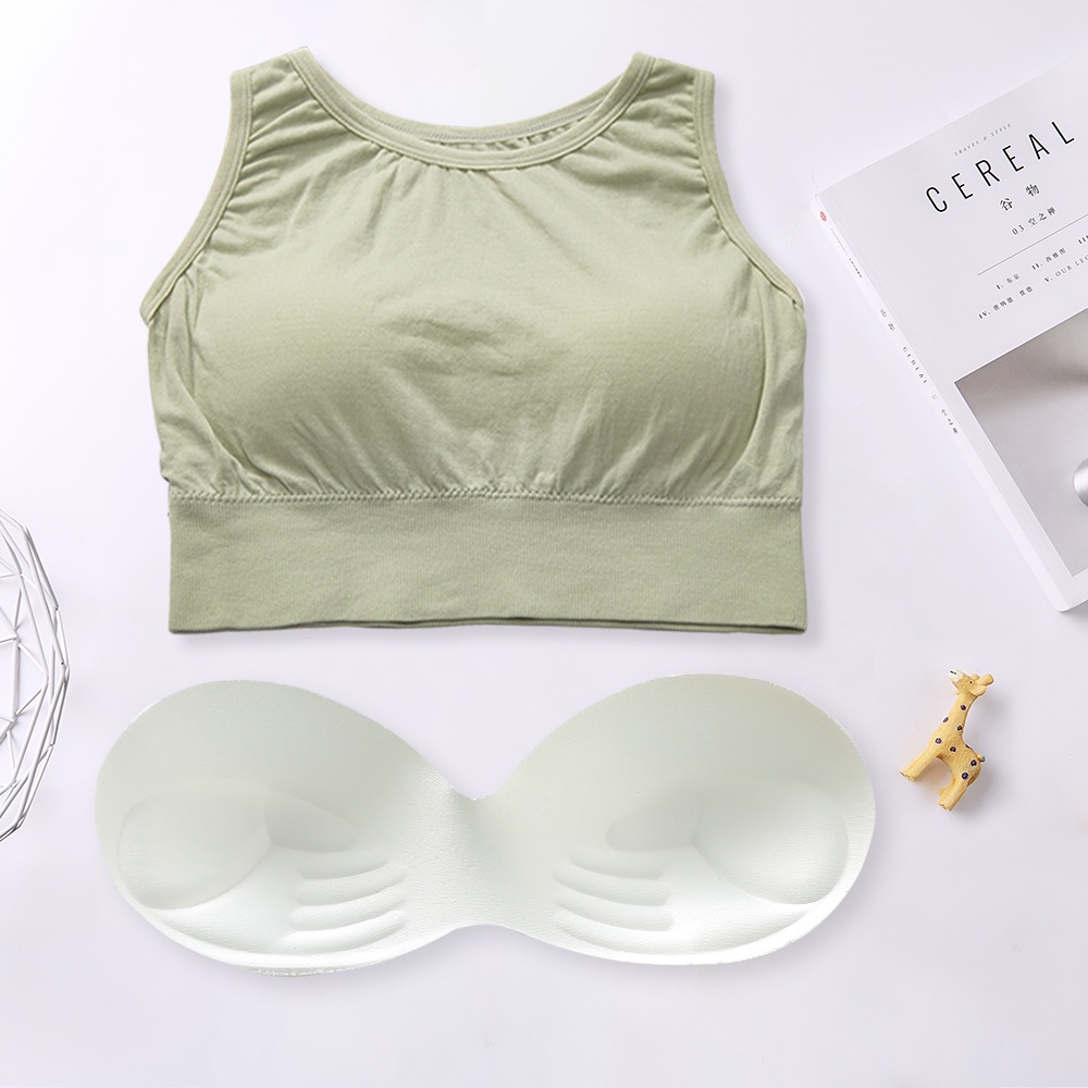 Áo Ngực Thể Thao Không Gọng Có Mút Nâng Ngực