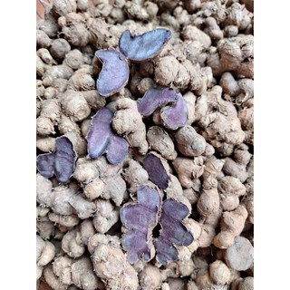 Gừng đen , ngải đen , black ginger (1kg)
