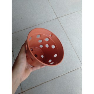 bộ 10 chậu lan giả đất fi 14