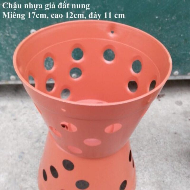 Chậu Nhựa trồng Lan giả đất Nung Size 14-17-20-23cm