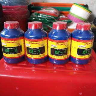 Phân bón lá VITAMIN B1 THÁI LAN 100ML
