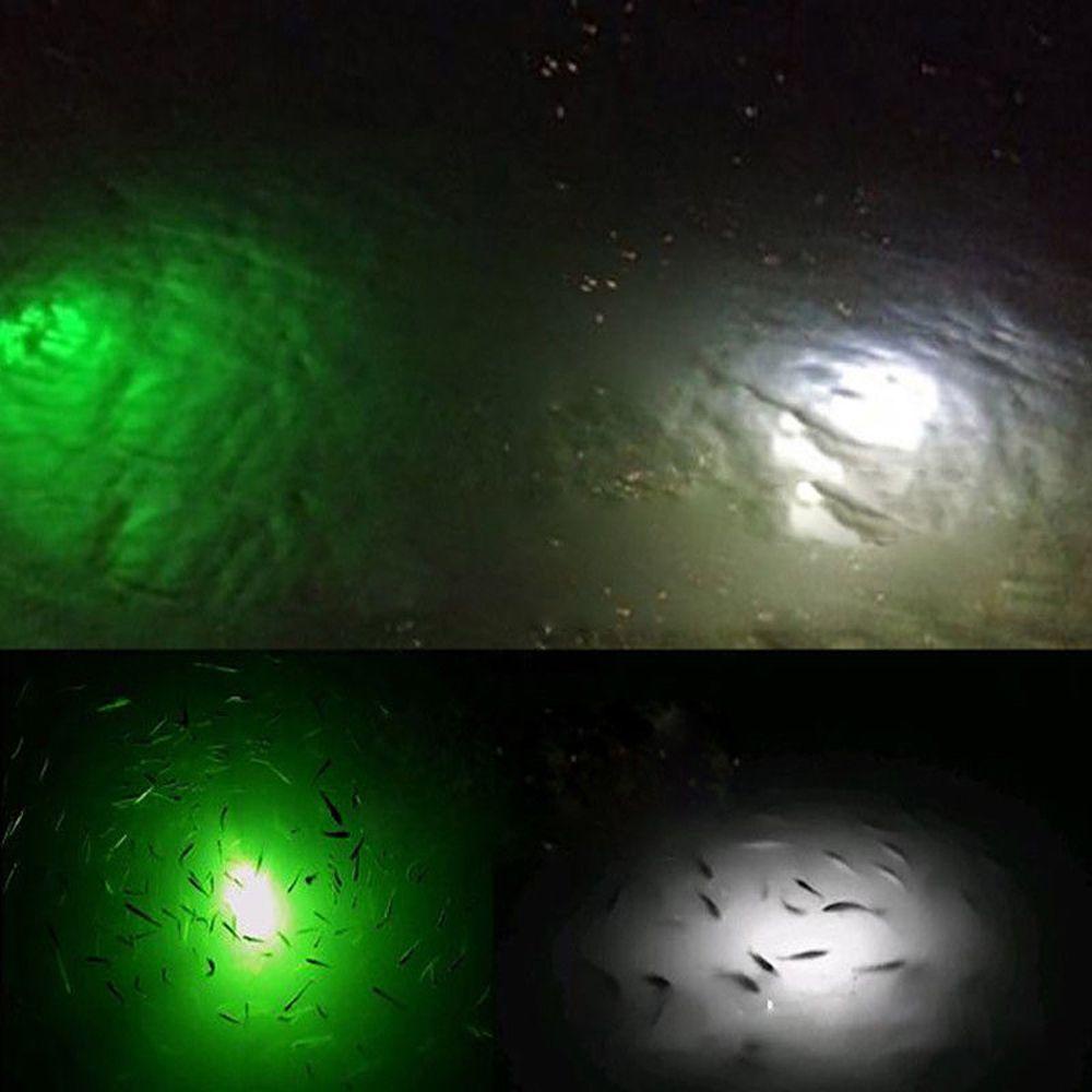 Đèn LED Mồi Câu Cá Hình Con Mực Phát Sáng Trong Nước