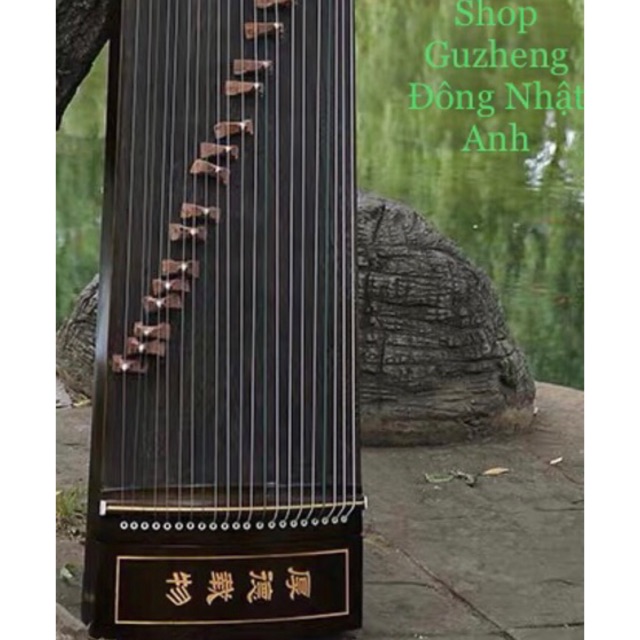 Đàn Guzheng Cổ Tranh hiệu Toàn Điệp Sơ Cấp giá rẻ