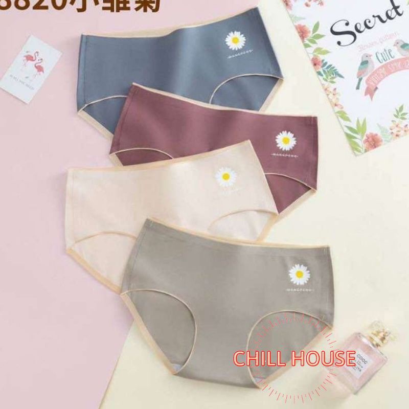 MỚI*Quần lót cotton KHÔNG VIỀN cúc họa mi (LOẠI 1) đủ fom-CHILLHOUSE