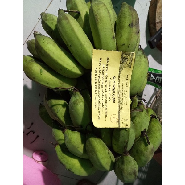 chuối sống nải