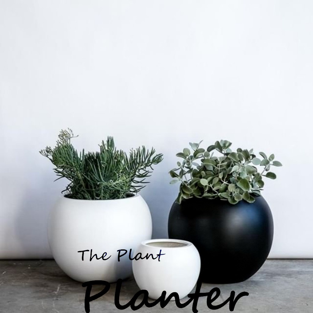 Chậu Trồng Cây Xi Măng DT007