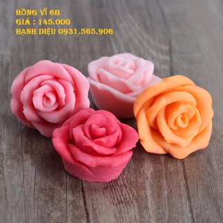Khuôn Silicone Hồng Vĩ 6B