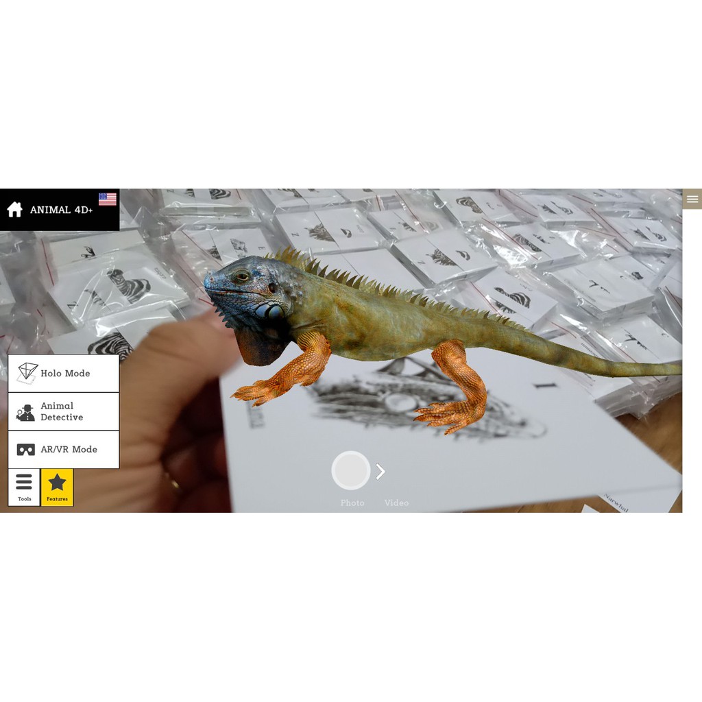 Bộ 22 thẻ học thông minh animal 4D