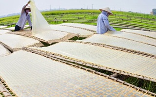 Miến dong quê, miến mộc 500g