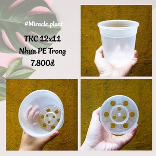 Chậu nhựa cứng trồng cây SIÊU XỊN SÒ TKC trong suốt kích thước 11x12 cho kiểng lá, sen đá, xương rồng