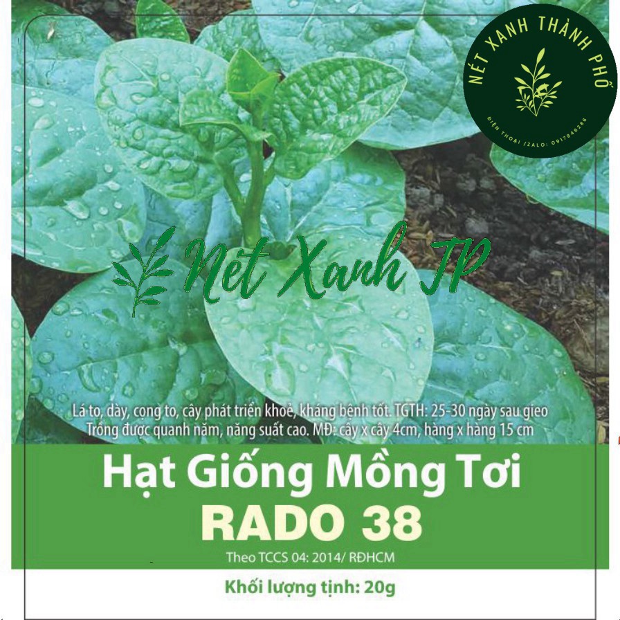 Hạt giống Mồng Tơi Xanh dễ trồng, giàu dinh dưỡng