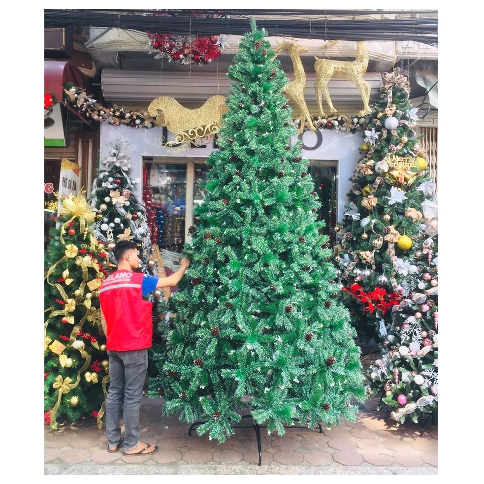 Cây thông noel 3 loại lá gắn trái thông cao 3m 3m6 2m4 2m1 size lớn tán cực dày đẹp hàng cao cấp