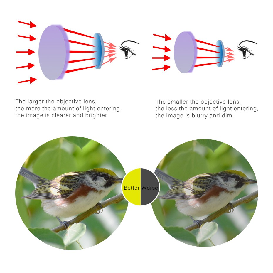 Kính viễn vọng SVBONY SV403 đa lớp phủ phóng to 20-60X60/25-75x70mm kèm chân đỡ dùng cho ngắm cảnh | BigBuy360 - bigbuy360.vn