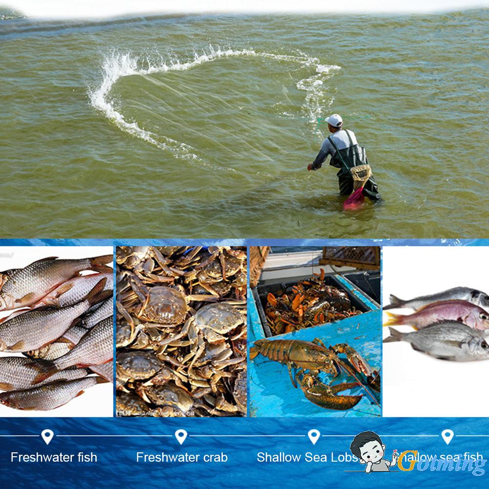 Những người mua sắm☆ Lưới Bắt Cá Chất Lượng Cao An Toàn