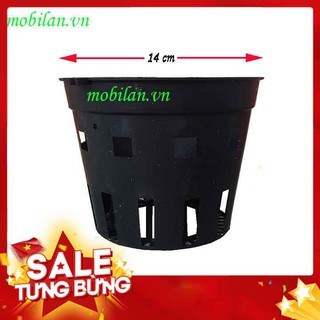 Chậu nhựa trồng lan phi 14 chất lượng tốt.