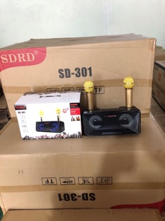 LOA KARAOKE SD-301 (tặng kèm 2 Mic ko dây )