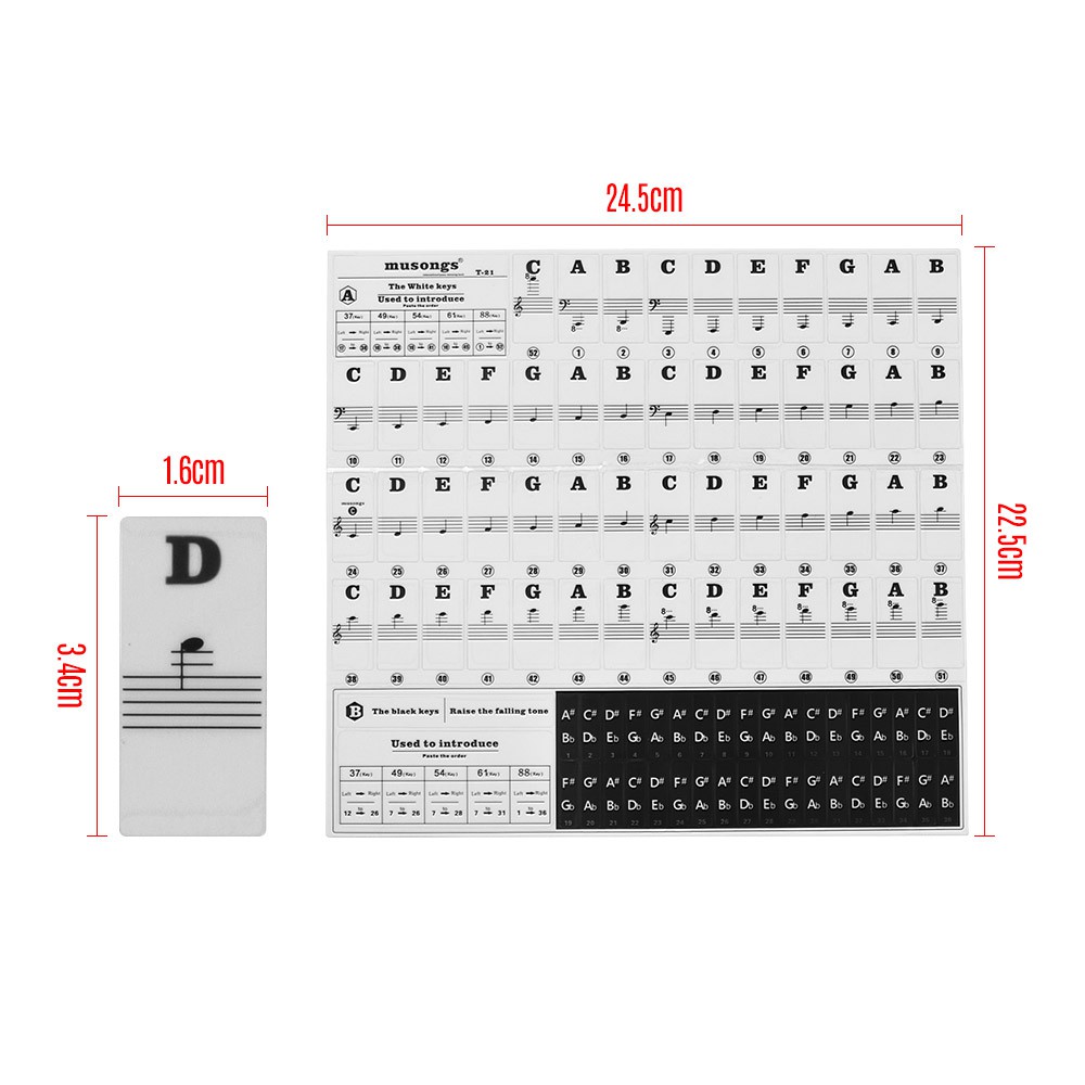 Miếng dán đánh dấu vị trí nốt nhạc đàn Piano loại 37/49/54/61/88 phím