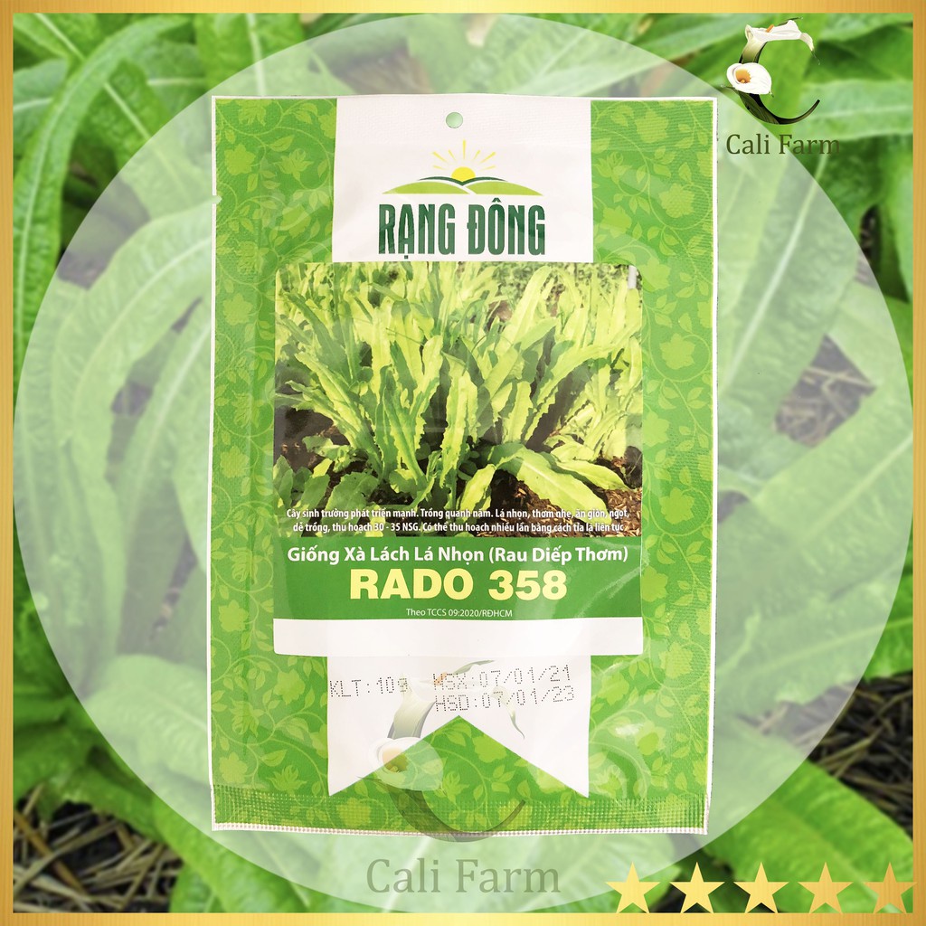 Hạt giống Xà Lách Lá Nhọn (Rau Diếp Thơm) Có Thể Thu Hoạch Nhiều Lần (gói 10 gram) - Hạt giống Rạng Đông