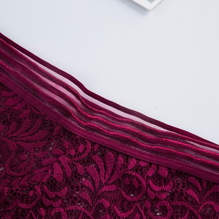 ( Chọn màu ) Quần Lót Ren Cao Cấp Đẹp Y Hình - 8837