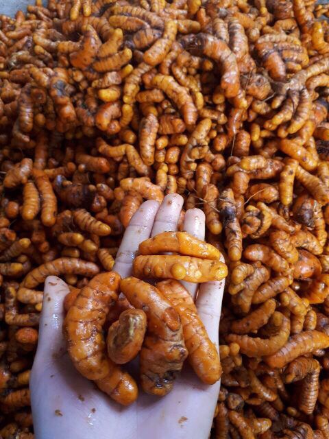 💥FLASH SALE💥100gr TINH BỘT NGHỆ NGUYÊN CHẤT BAO TEST | BigBuy360 - bigbuy360.vn