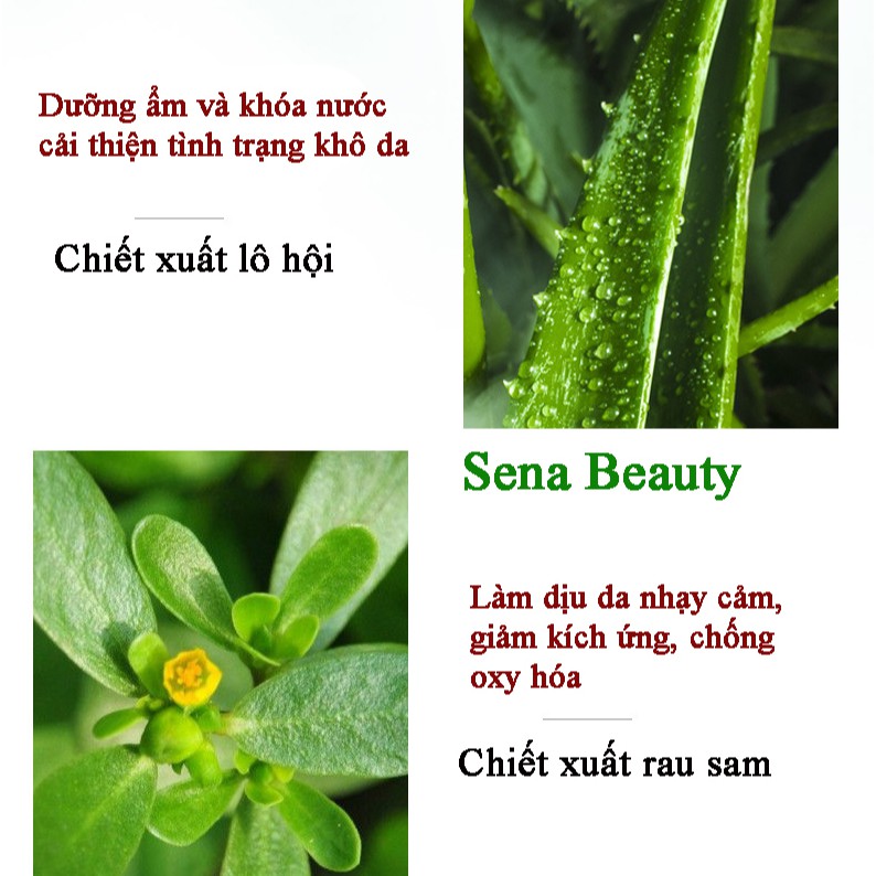 Toner dạng bông thấm làm sạch sâu axit salicylic 2% dành cho da dầu mụn Sena Beauty | BigBuy360 - bigbuy360.vn