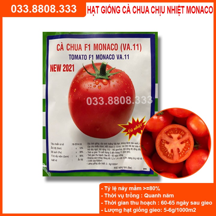 Hạt giống Cà chua Monaco F1 chịu nhiệt (VA.11) – 5gram - Qủa to năng suất cao