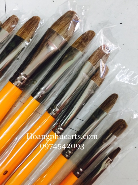 Combo 2 bộ bút vẽ màu acrylic 3d: 1 bộ bút cán vàng + 1 bộ bút lông xù