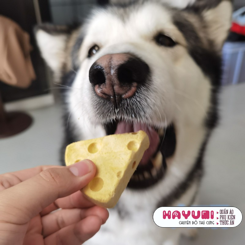 BÁNH NHÂN THỊT SẤY GIẢM CAO RĂNG HÔI MIỆNG CHO CHÓ MÈO - TREAT THÚ CƯNG - HAYUMI