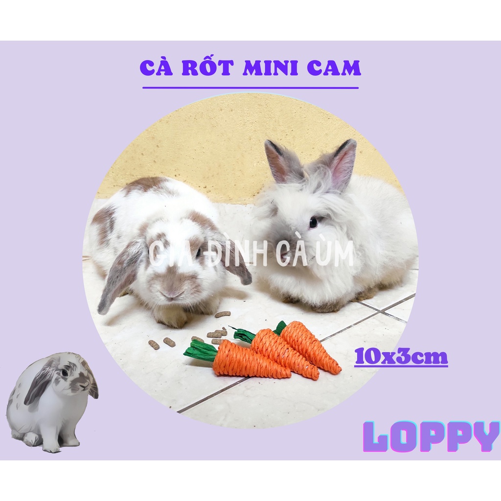 Đồ chơi dành cho thỏ/sóc/chuột