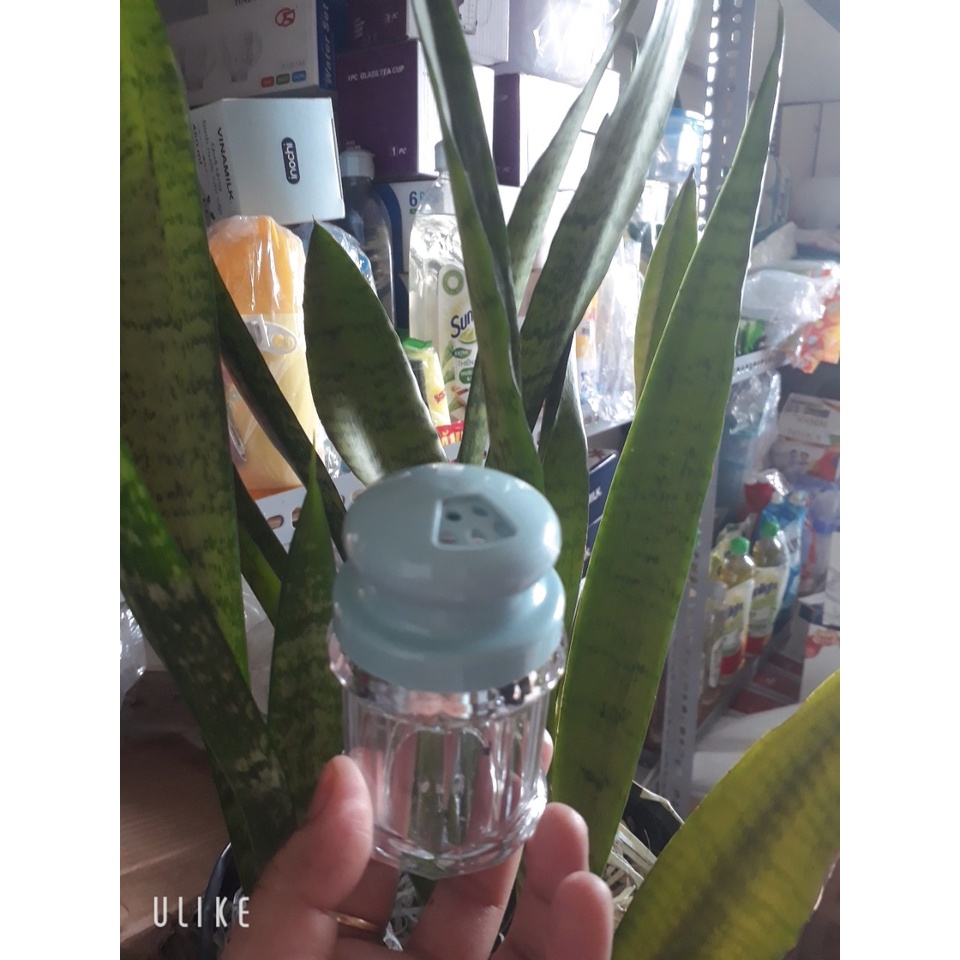 Lọ đựng tăm hạt tiêu giá rẻ