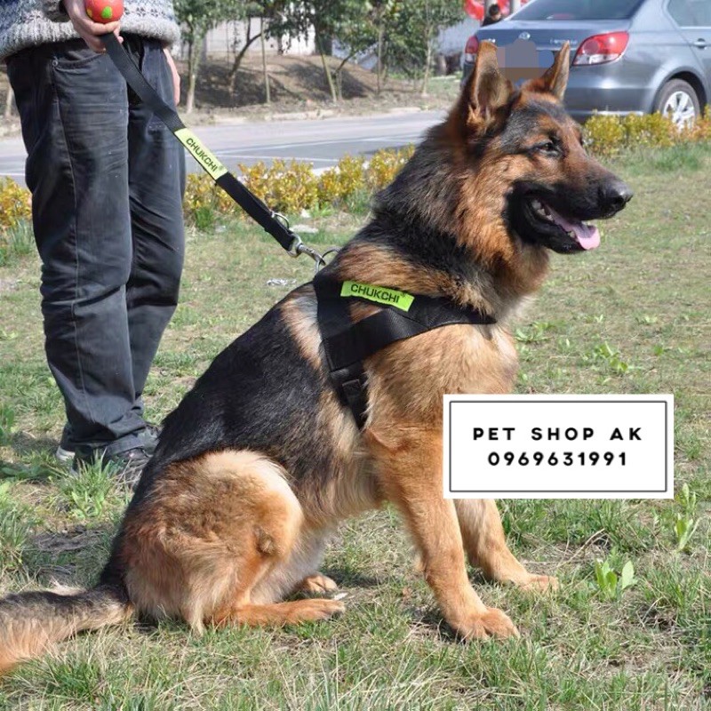 Đai dắt yếm police dog logo phản quang cho chó vừa và to c